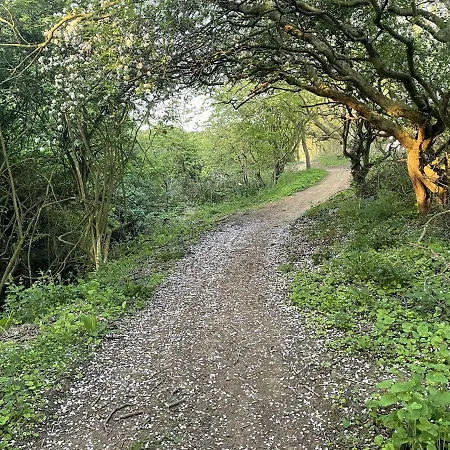 Ocean Retreat Semesterbostad *